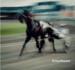 Image of Autour du paddock. Hippodrome de Trois-Rivières (29)
