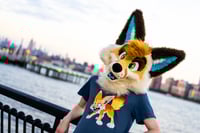 Image 2 of  "AAAAA" Fennec Fox T-Shirt