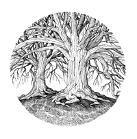 Two Trees