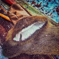 Image 2 of Nutria fur musher mittens 