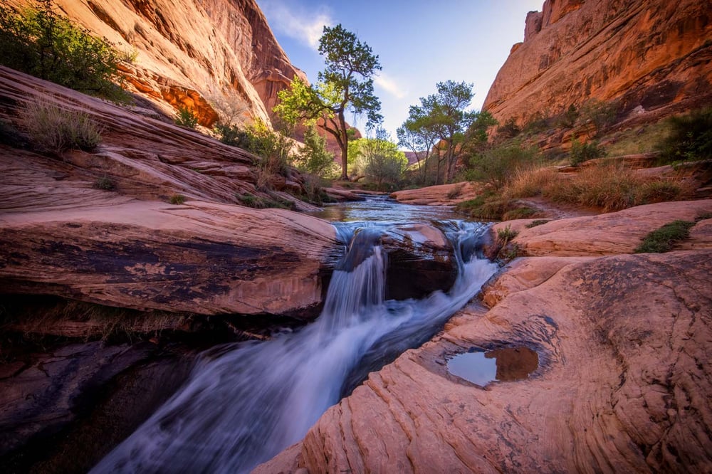 Image of Spring Falls II