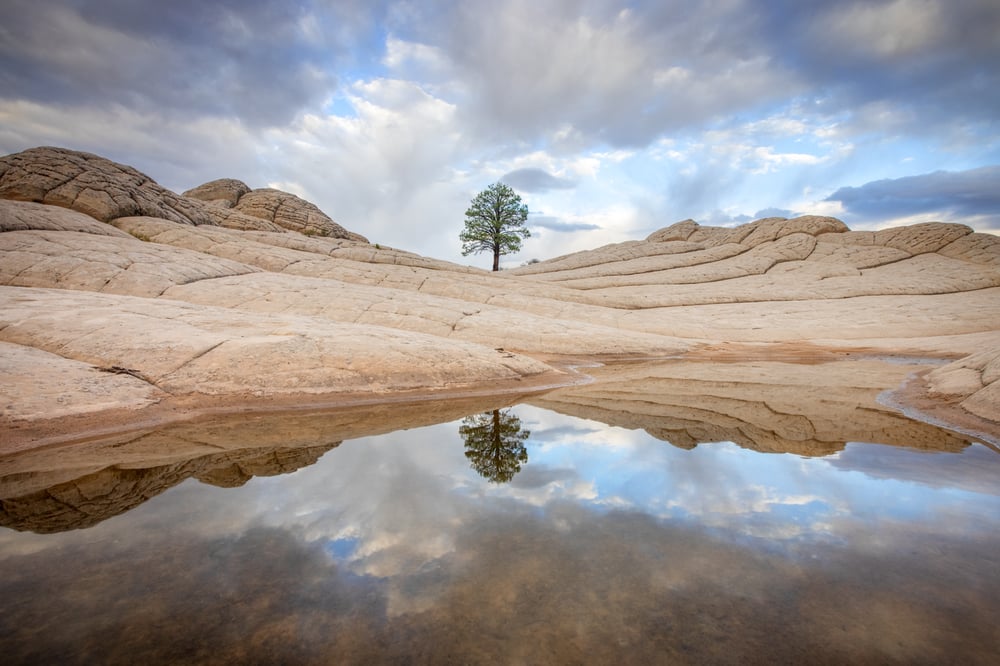 Image of Lone Reflection 