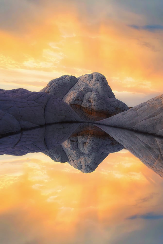 Image of Still Reflection 
