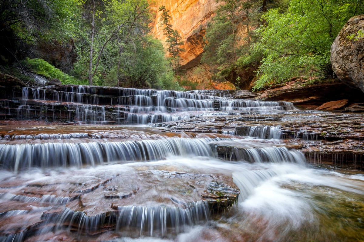 Zion Spring | RJ Hooper Photography
