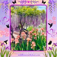 Image 7 of Chinese Wisteria and Peach Irises - Large Tote Bag