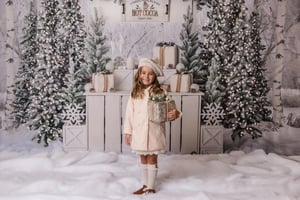 Image of Christmas Minis for the Kids