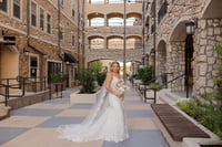 Image 10 of 2025 Adriatica Village minis -  (non refundable retainer)