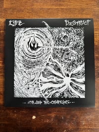 Image 3 of LIFE / DESTRUCT - SPLIT 12"