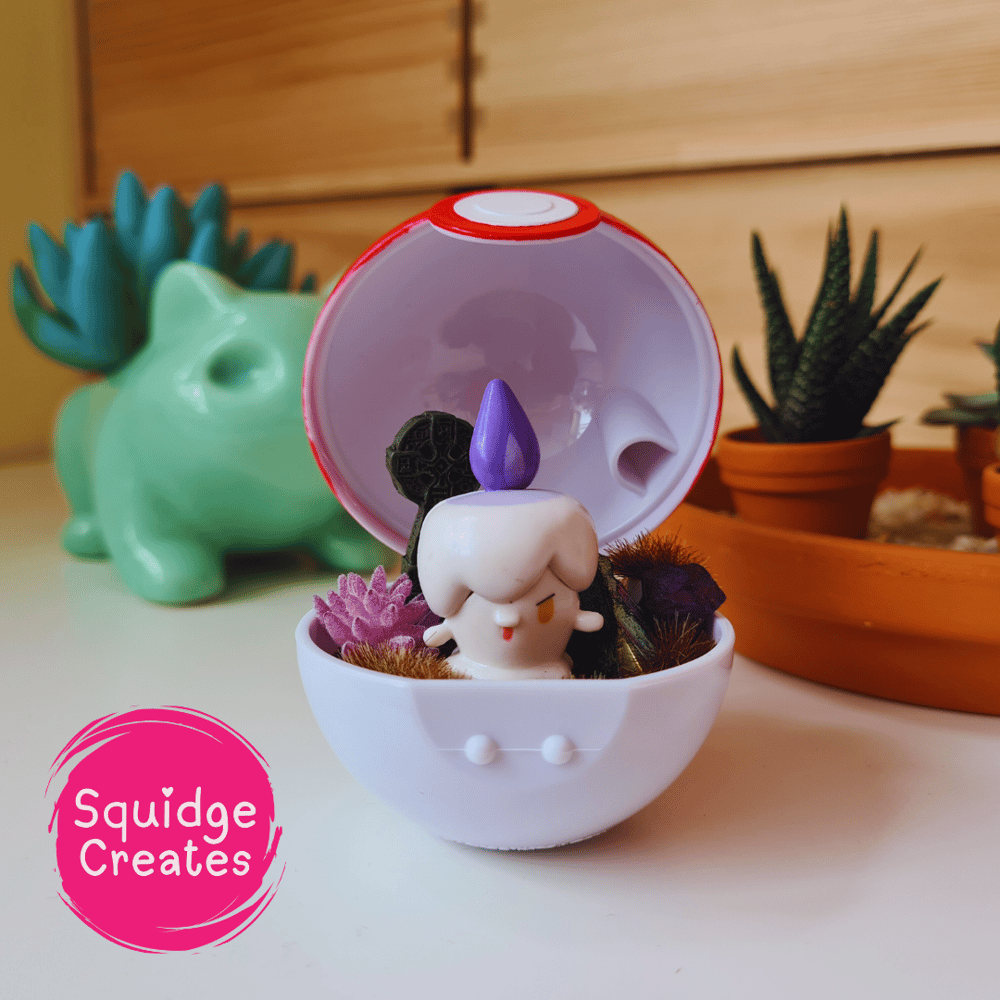Image of Micro Ball Terrarium