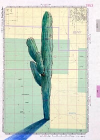 Tucson Saguaro