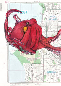 Image 1 of Seattle Octopus