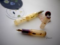 Image 5 of Tiny natures : pocket fountain pen