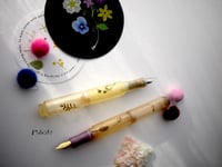 Image 2 of Tiny natures : pocket fountain pen