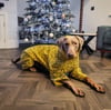 Four-Legged Suit