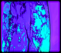 Image 5 of InkBLoT UV Drawstring Joggers (27")