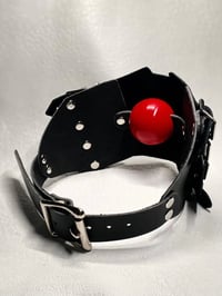 Image 1 of Bishop Style Pane Gag - Interchangeable System