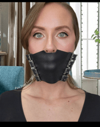 Image 2 of Bishop Style Pane Gag - Interchangeable System