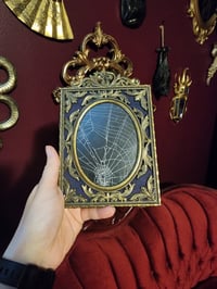 CobWebs in Gold Frames