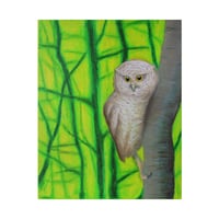Image 1 of Tropical Screech Owl Pastel .75" 16"x20" Matte Canvas Indoor Decor