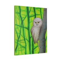 Image 2 of Tropical Screech Owl Pastel .75" 16"x20" Matte Canvas Indoor Decor