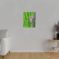 Image 3 of Tropical Screech Owl Pastel .75" 16"x20" Matte Canvas Indoor Decor