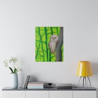 Image 4 of Tropical Screech Owl Pastel .75" 16"x20" Matte Canvas Indoor Decor