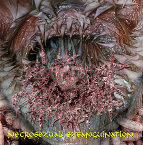 Image of GUTTURAL MAGGOT "Necrosexual ensanguination" CD