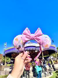 Image 4 of Classic Disneyland Marquee Earz