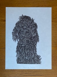 Image 1 of Pointing Griffon