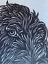 Pointing Griffon Image 3
