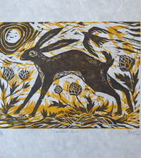 Image 1 of Summer Hare