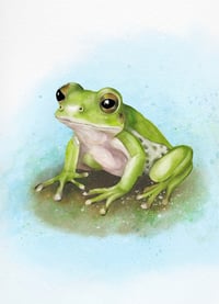 Image 4 of Froggy