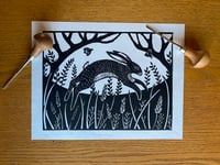 Image 3 of March Hare