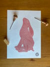 Hare Today