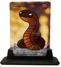 Image 1 of SnakesBites Juniors