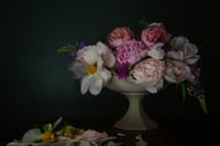 Bowl of Peony