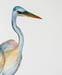 Image of Heron at sunset,  blue heron, bird art,  watercolor painting wall art