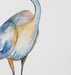 Image of Heron at sunset,  blue heron, bird art,  watercolor painting wall art