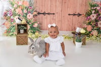 Image 12 of 2025 EASTER BUNNY & LAMB Minis (adding chicks or ducks too!) {April 6th}