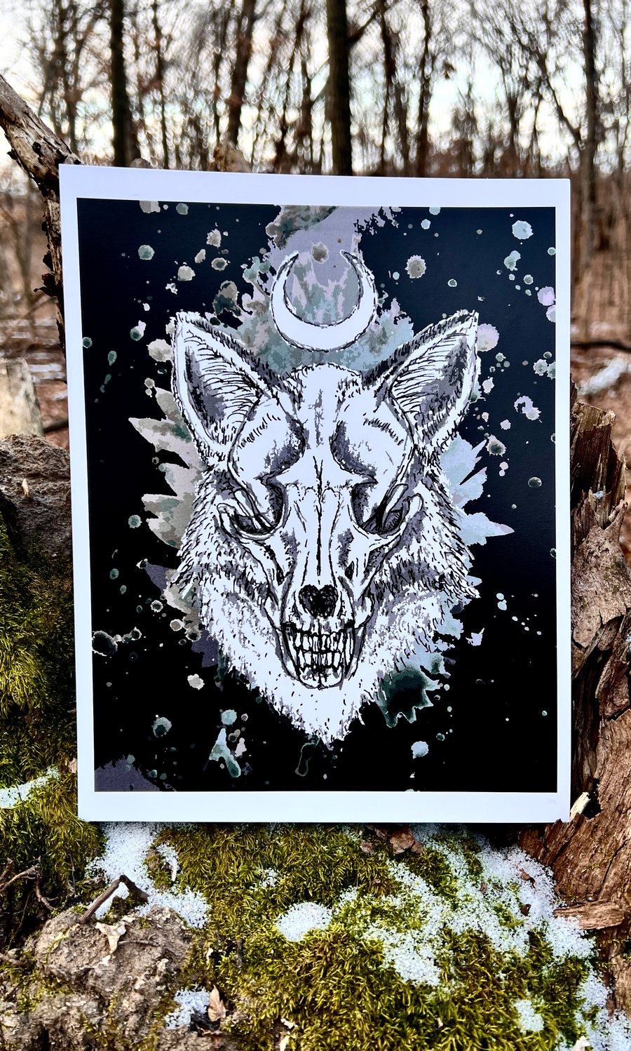 Image of RED FOX PRINT 8.5 X 11