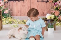 Image 15 of 2025 EASTER BUNNY & LAMB Minis (adding chicks or ducks too!) {April 6th}