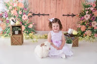 Image 20 of 2025 EASTER BUNNY & LAMB Minis (adding chicks or ducks too!) {April 6th}