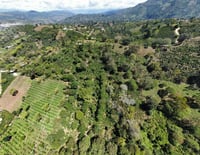 Image 5 of El Higuerón - Colombie | FILTRE