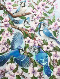 SPRING BLUEJAYS PAINTING