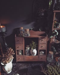 Image 1 of Herbal Apothecary wall curio 