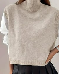 Image 1 of High Neck Knit Vest