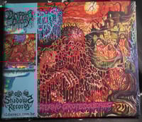Image 1 of Dripping Decay - Festering Grotesqueries - CD