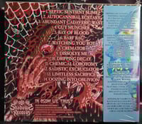 Image 2 of Dripping Decay - Festering Grotesqueries - CD