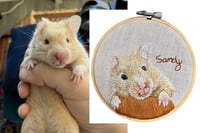 Image 1 of 5 inch Embroidered Pet Portrait