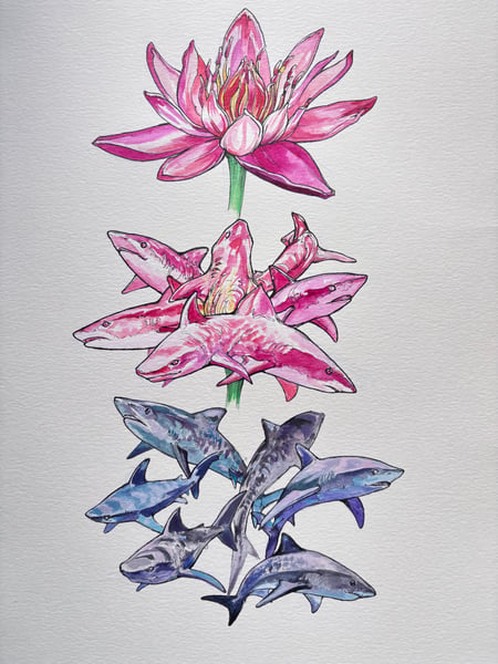 Image of Shark Lotus - Original